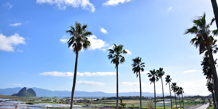 南国の鹿児島