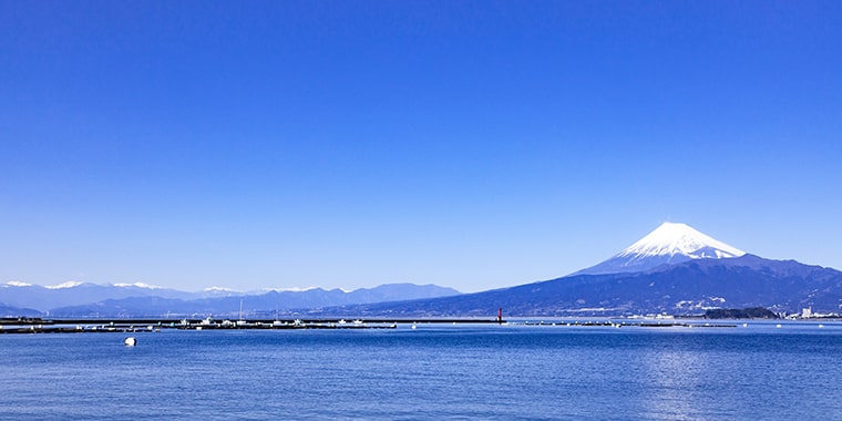 富士山が見える