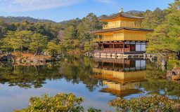 金閣寺の風景